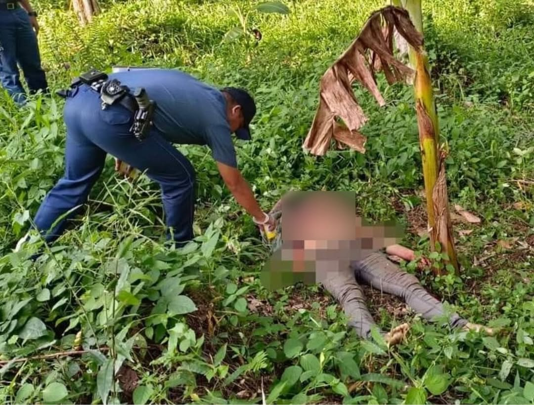 Babae sinapak ng bato sa mukha, patay