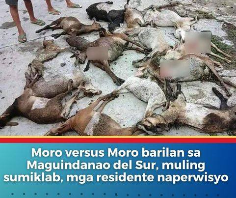 Gyera ng mga grupong Moro sa Maguindanao del Sur, muling sumiklab, mga residente naperwisyo