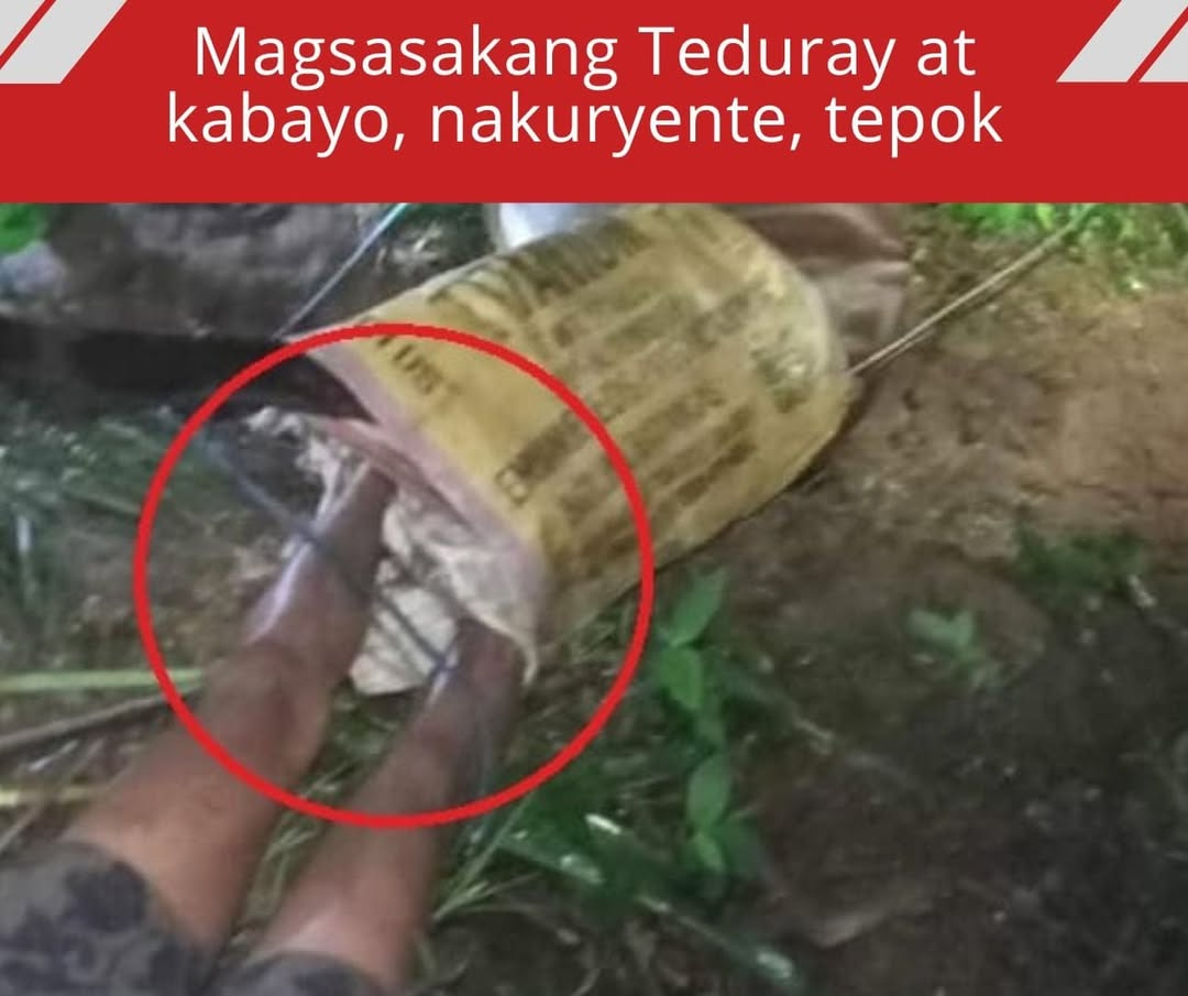 Magsasakang Teduray at kabayo, nakuryente, tepok